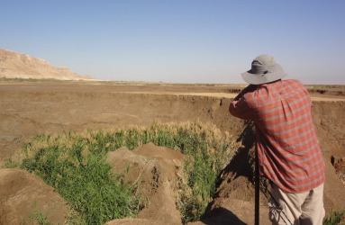 copy_of_dsc07962_1.jpg .