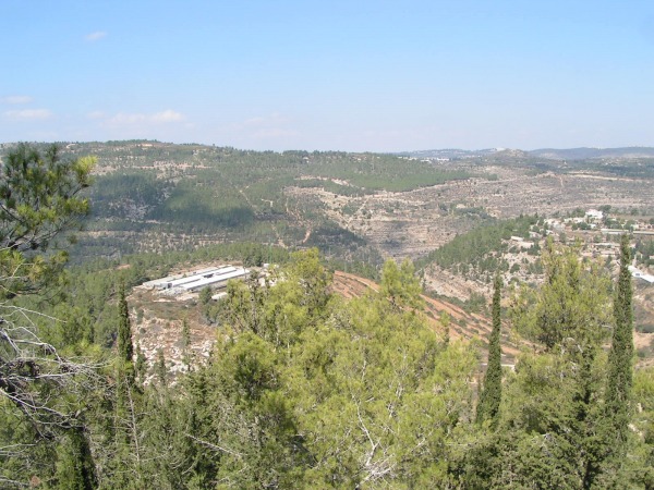 carbonate terrains