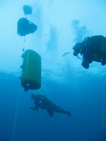 divers