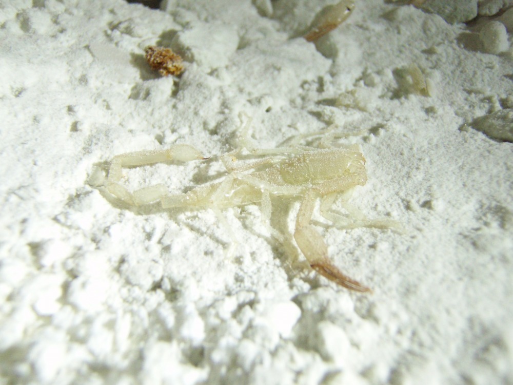 Ayalon cave 2