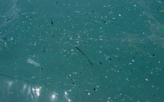 microplastic