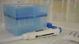 pipette in the clean lab