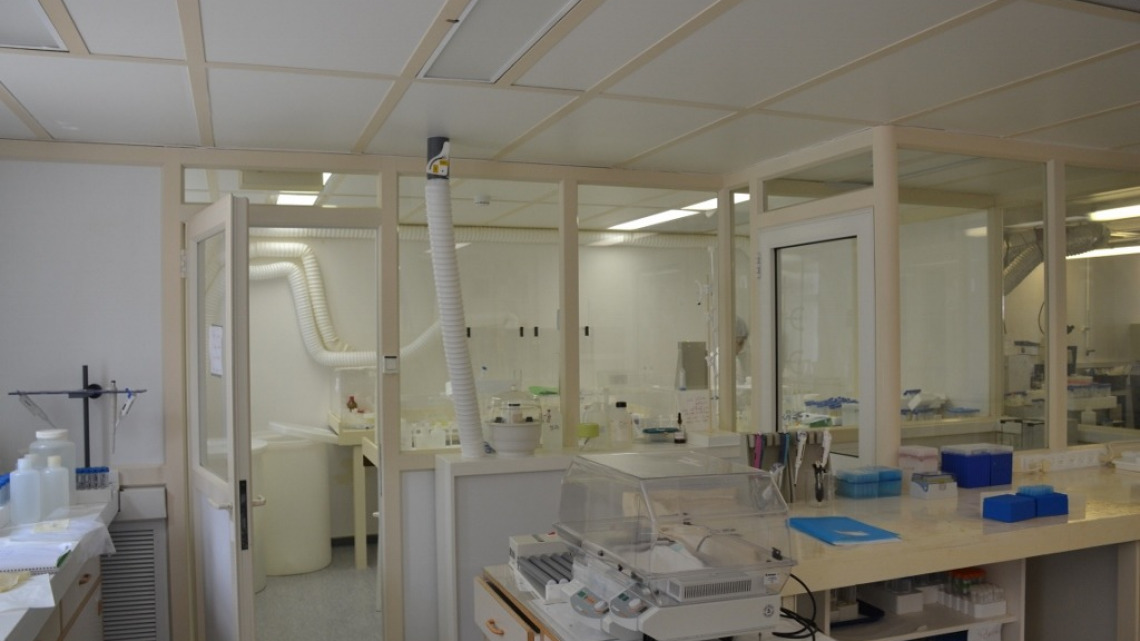 Clean Lab