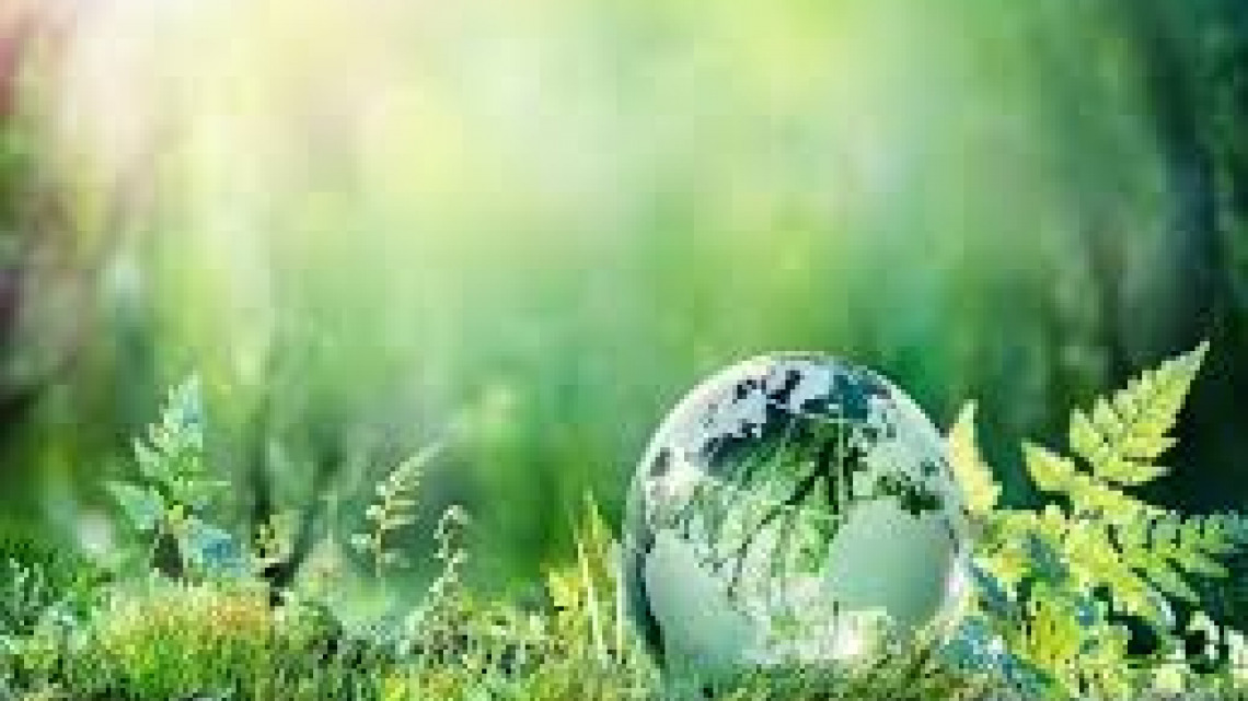 Environmental Science
