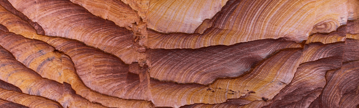 BSc in Geology 