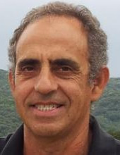 Dov Avigad